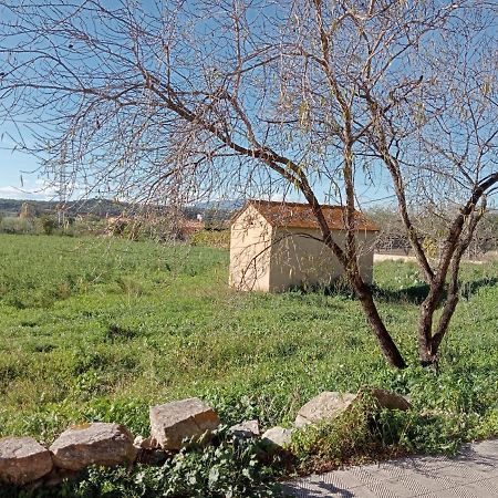 Alojamiento Familiar Con Chimenea - Alt Emporda Sant Climent Sescebes Zewnętrze zdjęcie