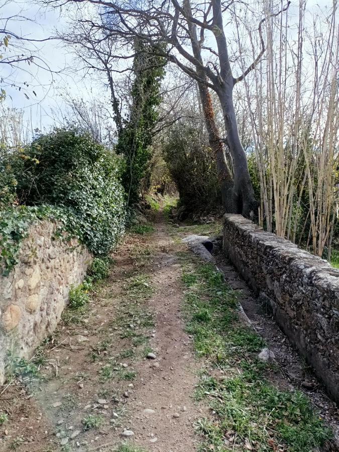 Alojamiento Familiar Con Chimenea - Alt Emporda Sant Climent Sescebes Zewnętrze zdjęcie